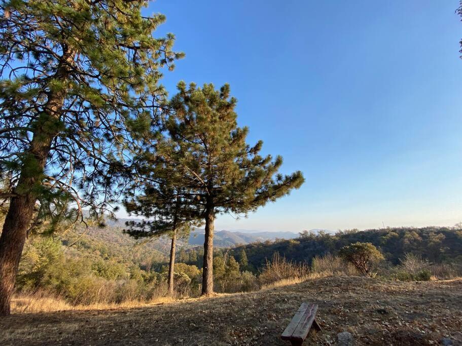 Modern Airstream With Amazing View - 10 To 15 Minutes From Kings Canyon National Park Dunlap 外观 照片